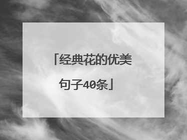 经典花的优美句子40条