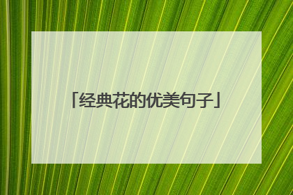 经典花的优美句子