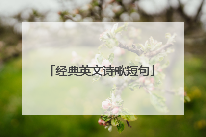 经典英文诗歌短句