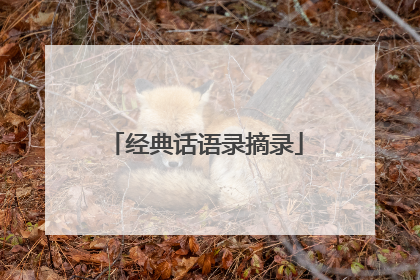 经典话语录摘录