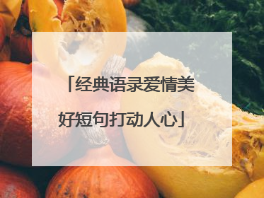 经典语录爱情美好短句打动人心