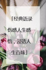 经典语录伤感人生感悟，浸透人生百味