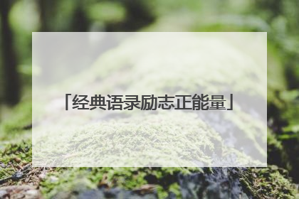 经典语录励志正能量