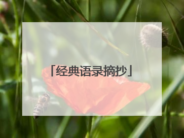 经典语录摘抄