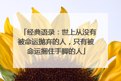 经典语录：世上从没有被命运抛弃的人，只有被命运捆住手脚的人