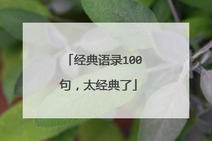 经典语录100句，太经典了