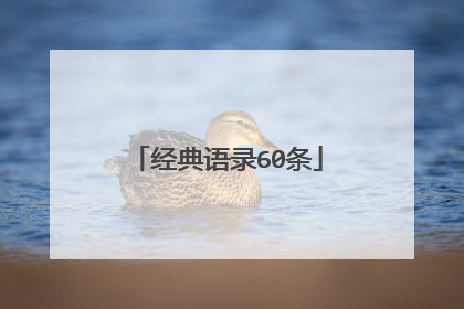 经典语录60条