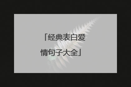 经典表白爱情句子大全