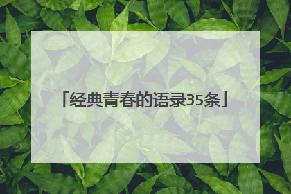 经典青春的语录35条