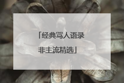 经典骂人语录非主流精选