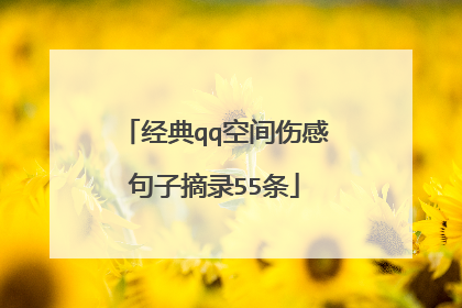 经典qq空间伤感句子摘录55条