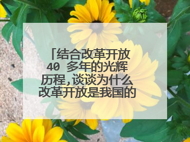 结合改革开放 40 多年的光辉历程,谈谈为什么改革开放是我国的 强国之路？