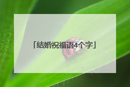 结婚祝福语4个字