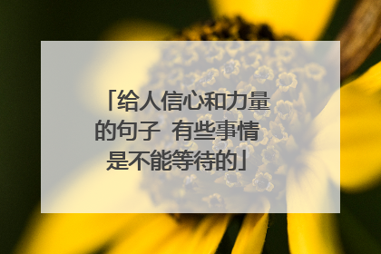 给人信心和力量的句子 有些事情是不能等待的