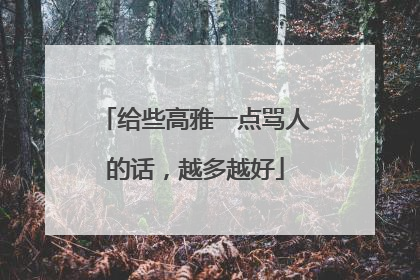 给些高雅一点骂人的话，越多越好