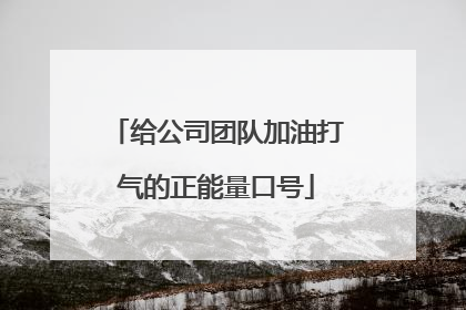 给公司团队加油打气的正能量口号