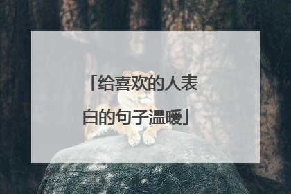 给喜欢的人表白的句子温暖