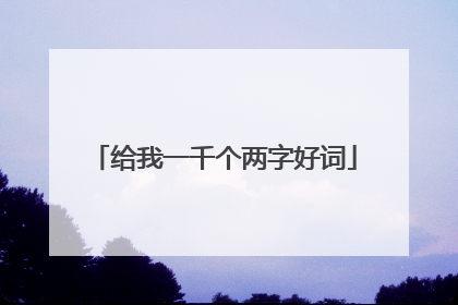 给我一千个两字好词