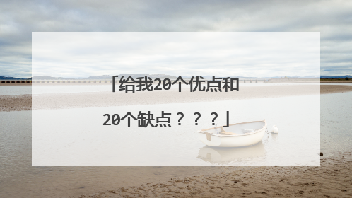 给我20个优点和20个缺点？？？