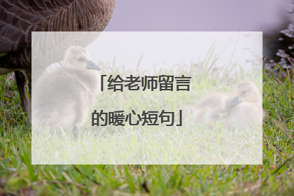 给老师留言的暖心短句