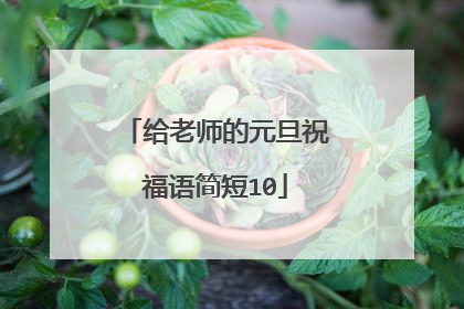 给老师的元旦祝福语简短10