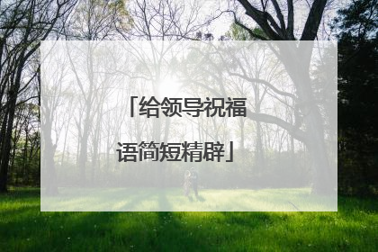 给领导祝福语简短精辟