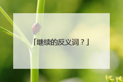 继续的反义词？