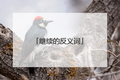继续的反义词