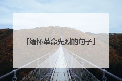 缅怀革命先烈的句子
