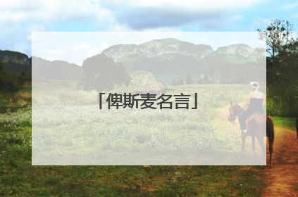 俾斯麦名言