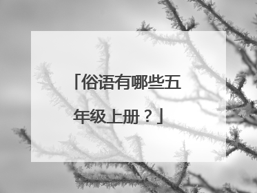 俗语有哪些五年级上册？