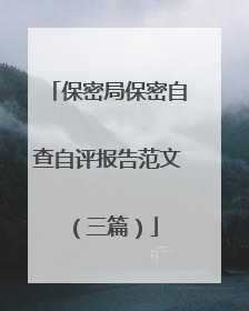保密局保密自查自评报告范文（三篇）