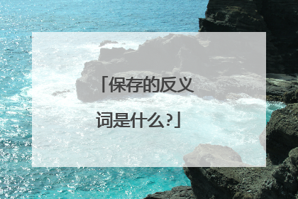 保存的反义词是什么?