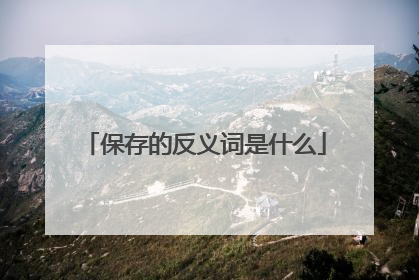 保存的反义词是什么