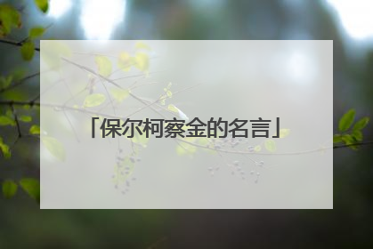 保尔柯察金的名言