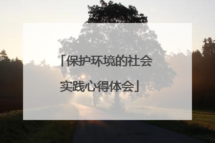 保护环境的社会实践心得体会
