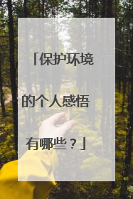保护环境的个人感悟有哪些？