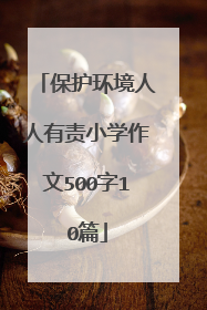 保护环境人人有责小学作文500字10篇