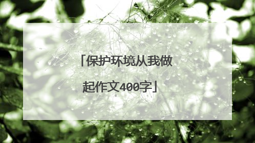 保护环境从我做起作文400字