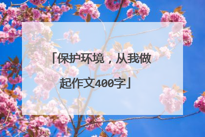 保护环境，从我做起作文400字