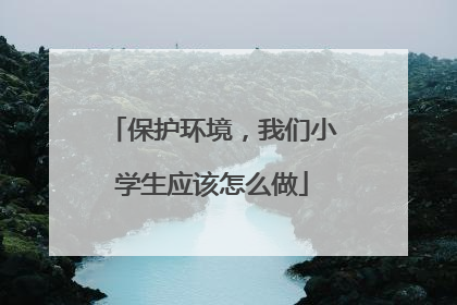 保护环境，我们小学生应该怎么做