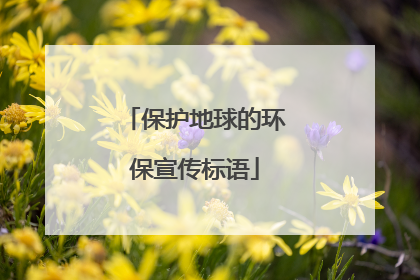 保护地球的环保宣传标语