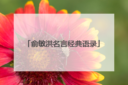 俞敏洪名言经典语录