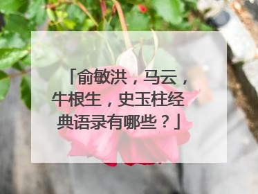 俞敏洪，马云，牛根生，史玉柱经典语录有哪些？