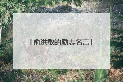 俞洪敏的励志名言