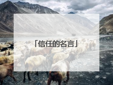 信任的名言