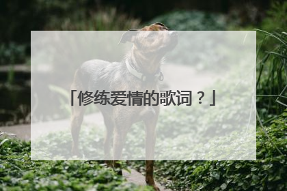 修练爱情的歌词？