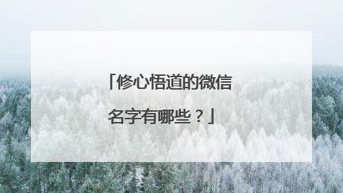 修心悟道的微信名字有哪些？