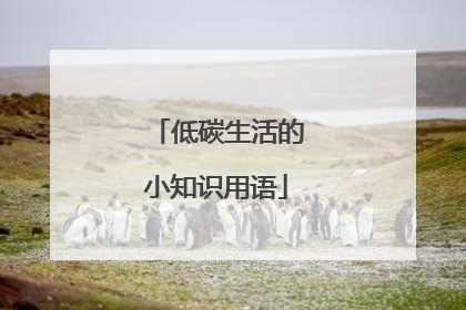 低碳生活的小知识用语