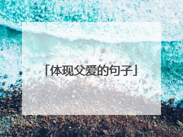 体现父爱的句子